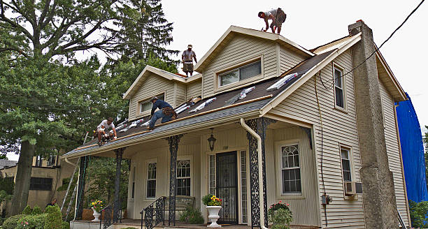 Best Metal Roofing Contractor  in Talahi Island, GA
